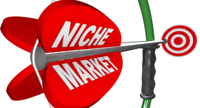 3 Simple Steps to Find Your Perfect Niche Market