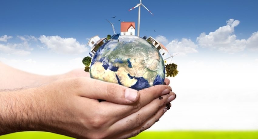 5 Ways to Create Sustainability in Your Business