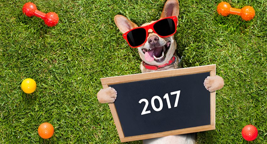 bhgrealestate.com - How to Come Out on Top for Year's End