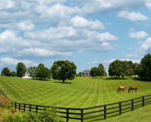 Seven Savvy Ways to Market Horse Property for Sale