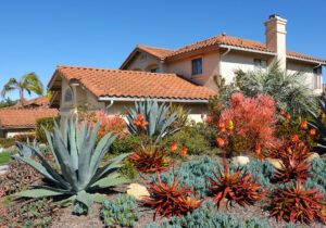 Water-Wise: Eco-Friendly Landscaping Ideas to Attract Green Buyers